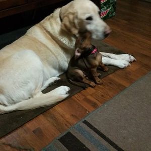 Meet your Posher, Jason